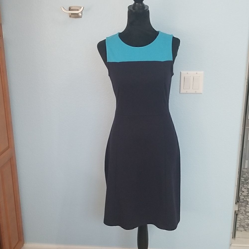 41 Hawthorn color block dress